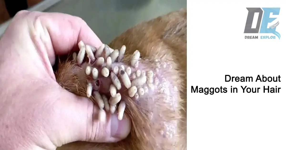 Dream Explor: Maggots in Hair