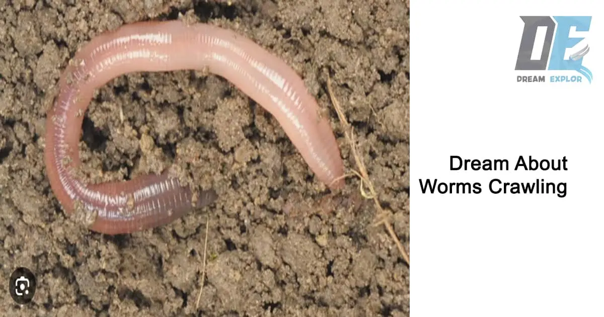 Dream Explor: Worms Crawling in the Mud