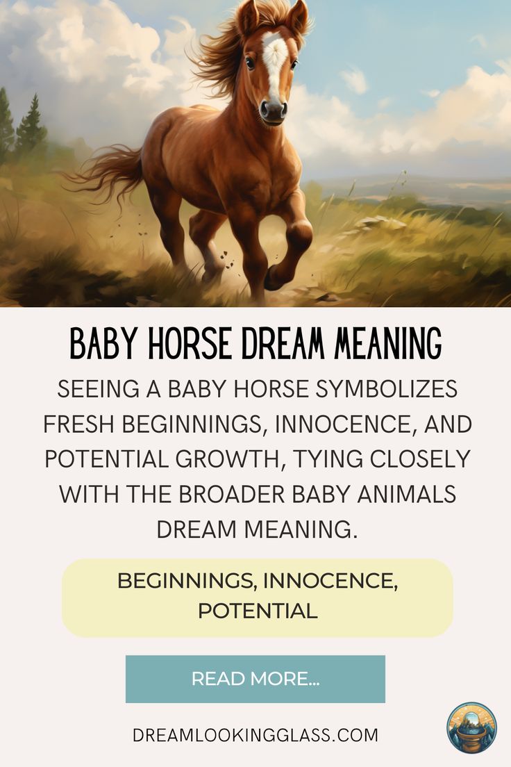 Baby Horse Dream Meaning