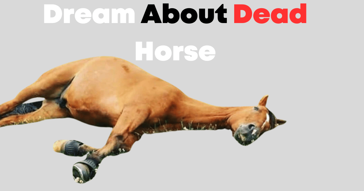 Dream About Dead Horses