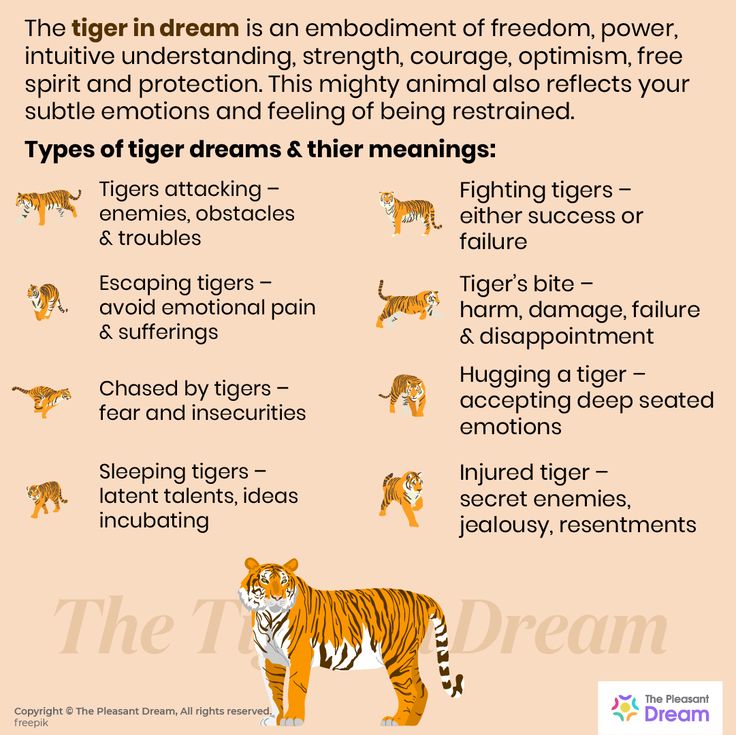 Dreams About Tigers Attacking