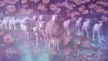 What Does a Black Sheep Mean in a Dream