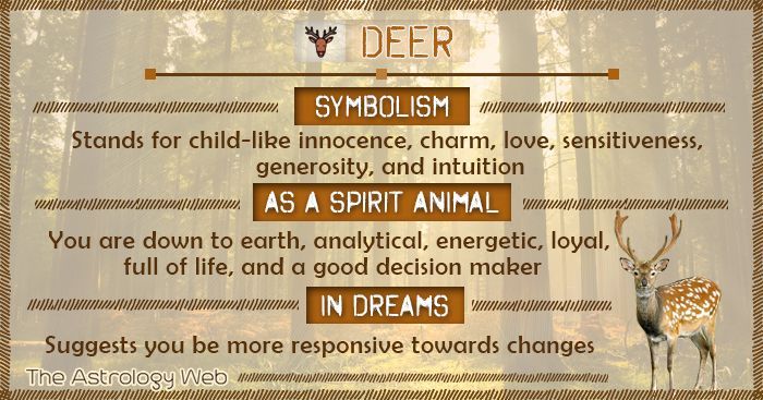 What Does a Deer Mean in a Dream