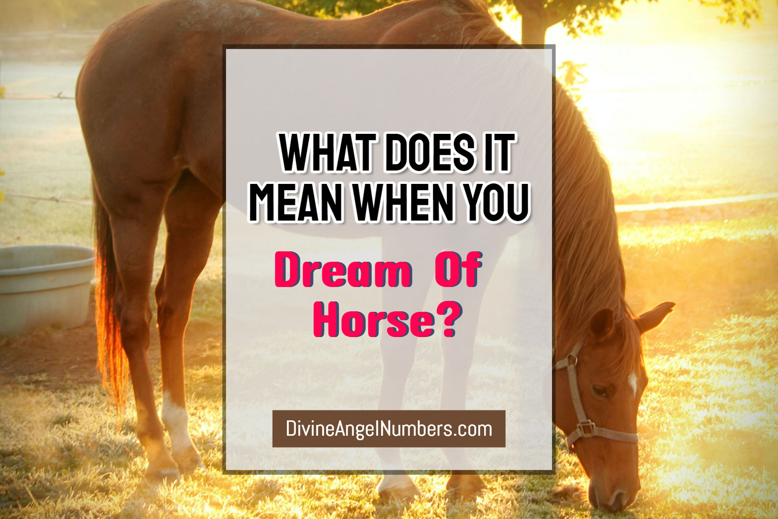 What Does It Mean to Dream of a Horse