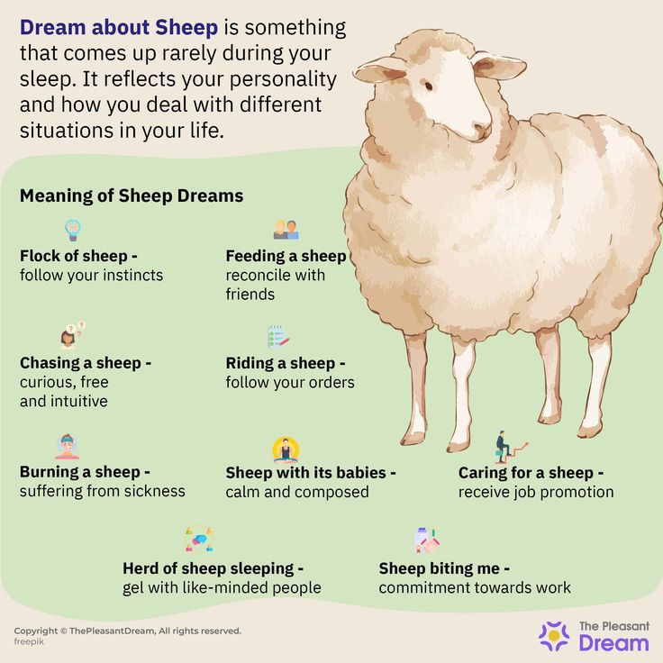 What is the Meaning of Seeing Sheep in Dream