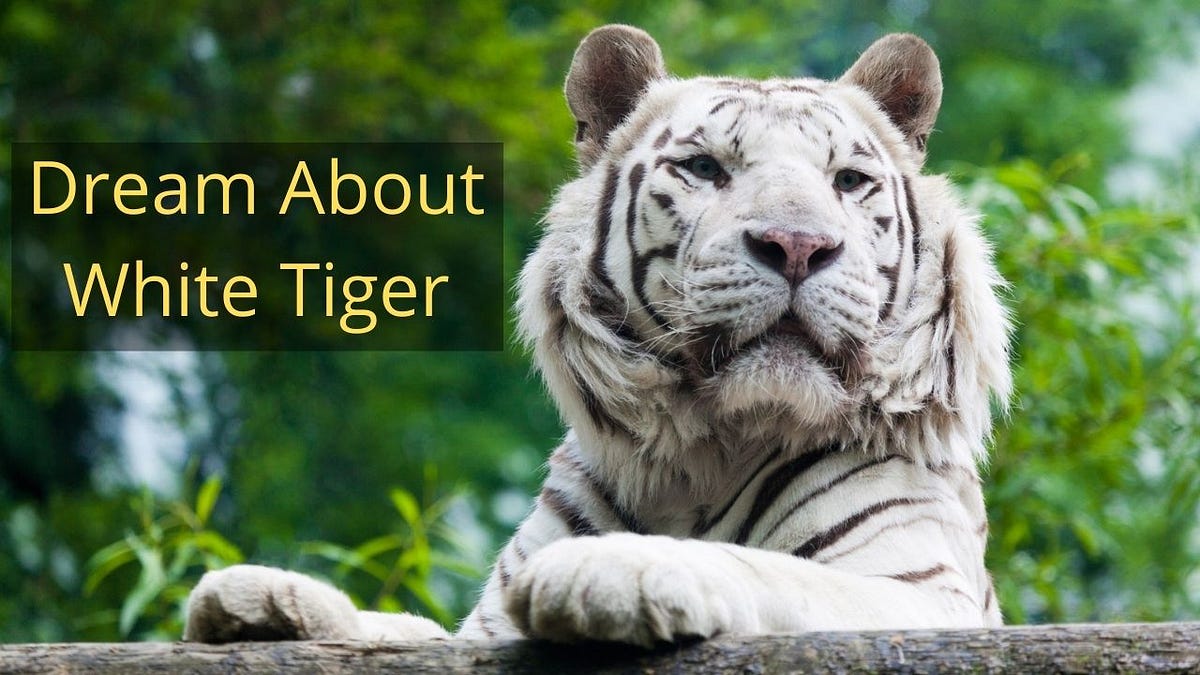 White Tiger Dream Meaning Biblical