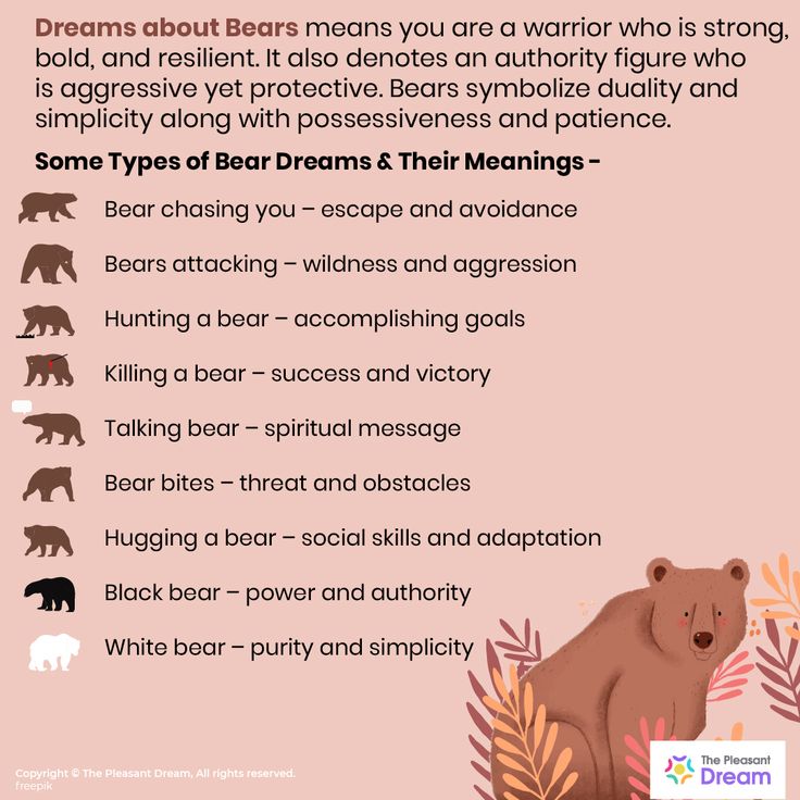 Bear Dream Meaning