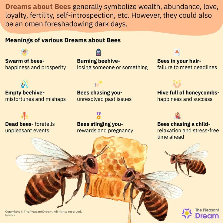 Bee Dream Meaning