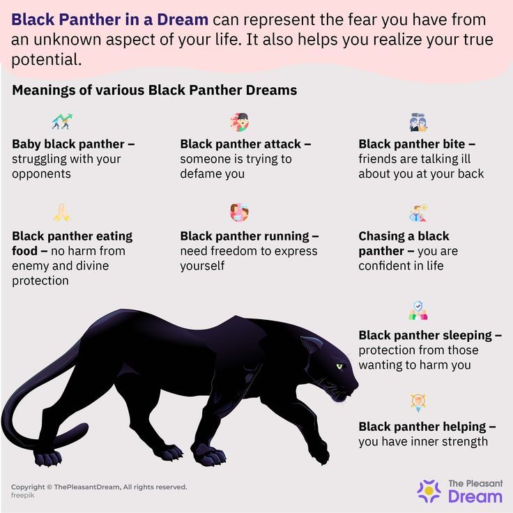 Black Panther In Dream