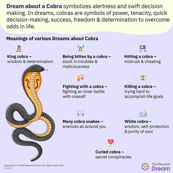 Cobra Dream Meaning