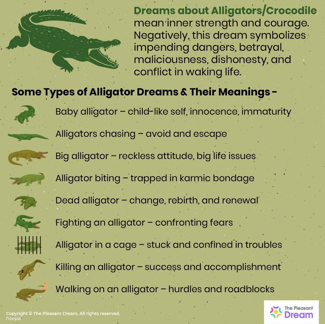 Crocodile Dream Meaning