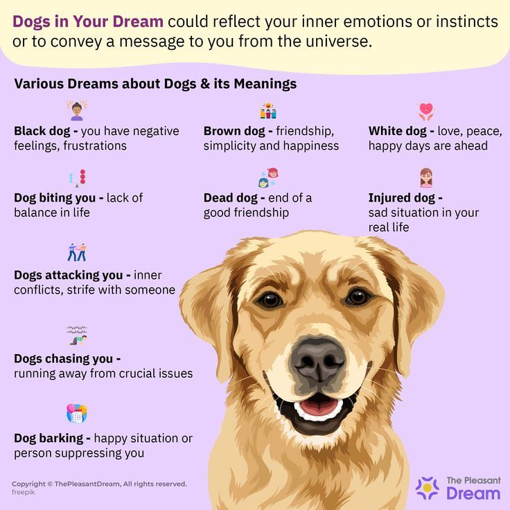 Dog Dream Meaning