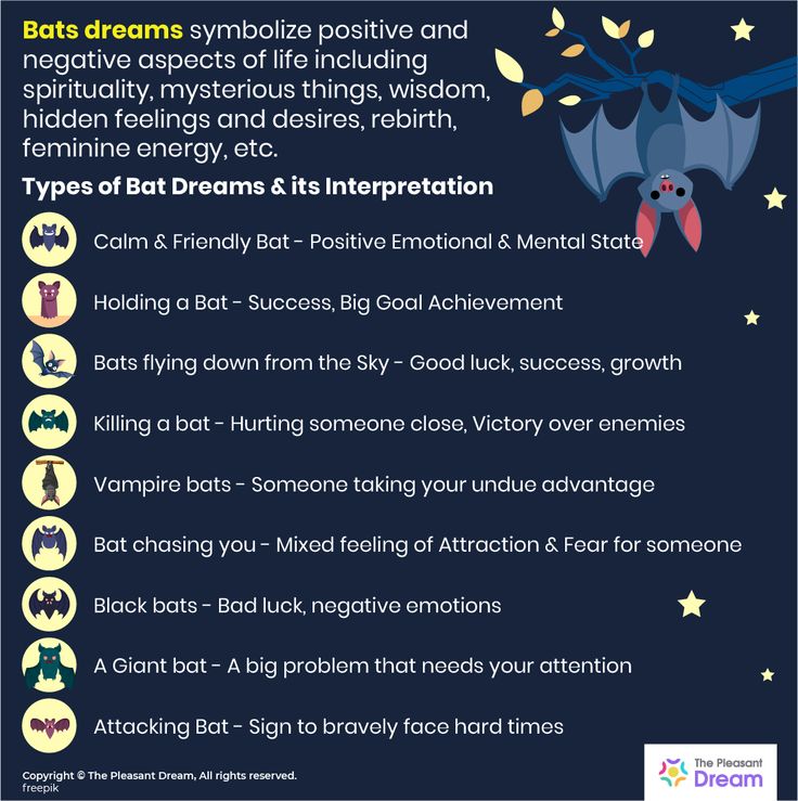 Dream About Bats