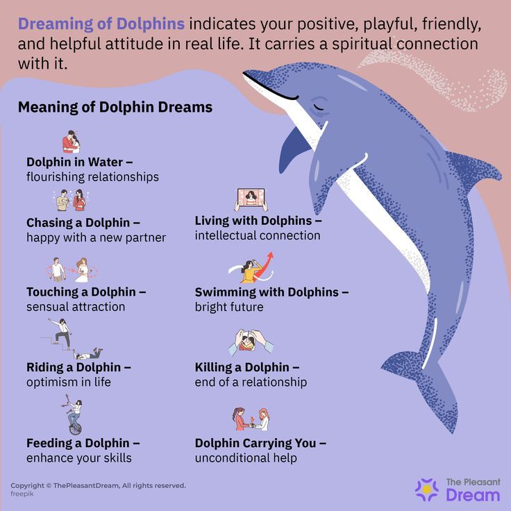 Dream About Dolphins