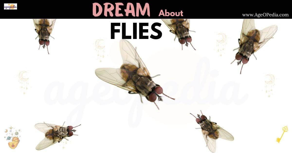 Dream Of Flies