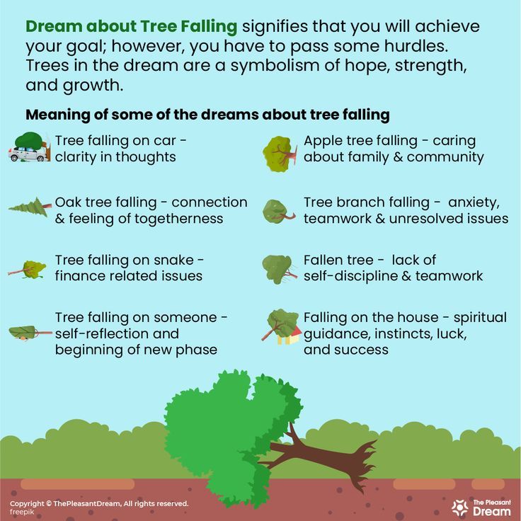 Dream Of Tree Falling