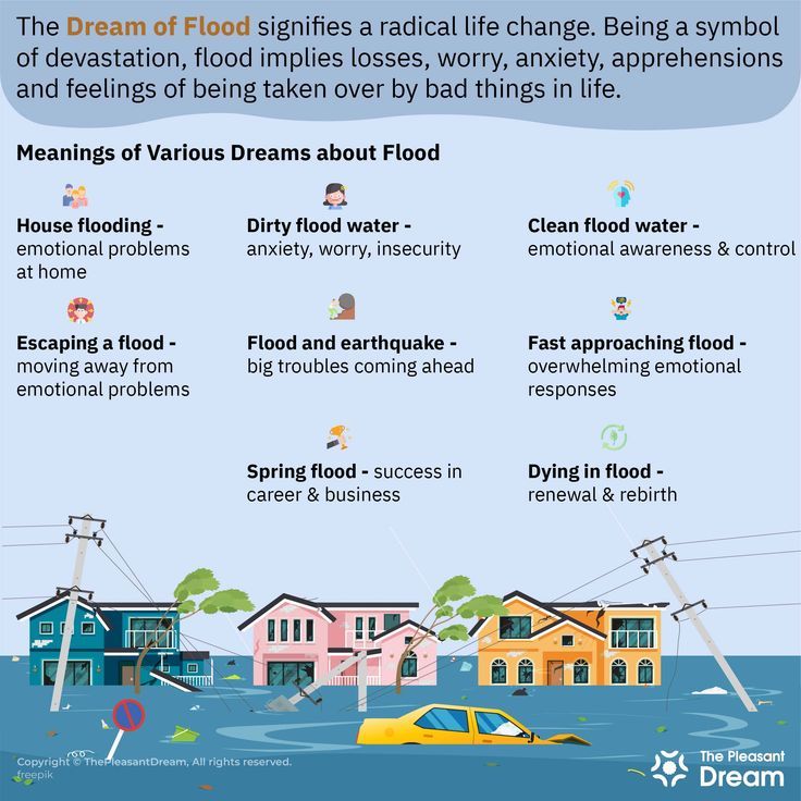 Flood Dream Meaning