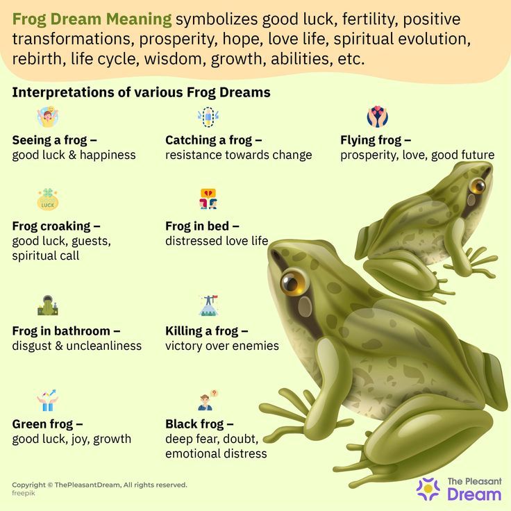 Frog Dream Meaning