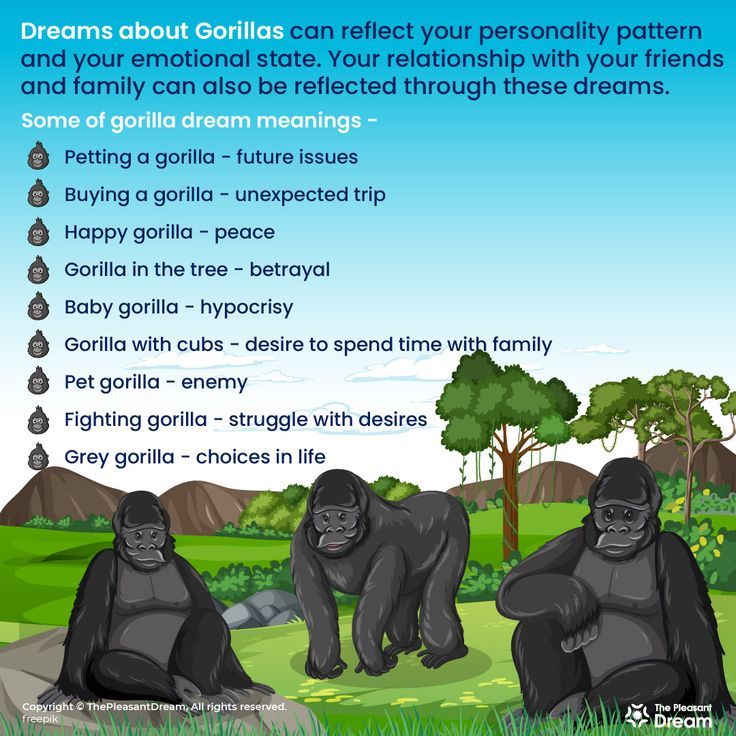 Gorilla In Dream Meaning