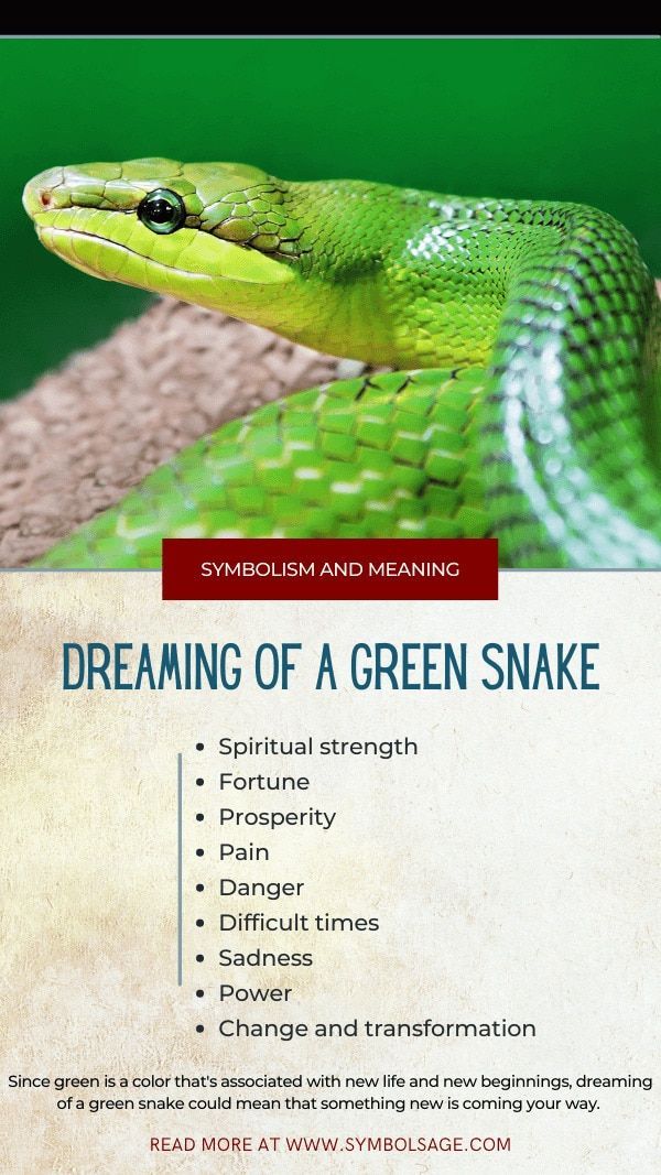 Green Snake Dream Meaning