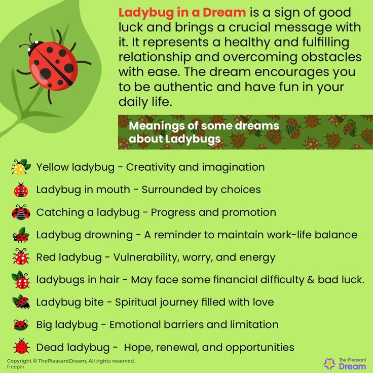 Ladybug Dream Meaning