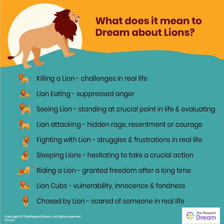 Lion Dream Meaning