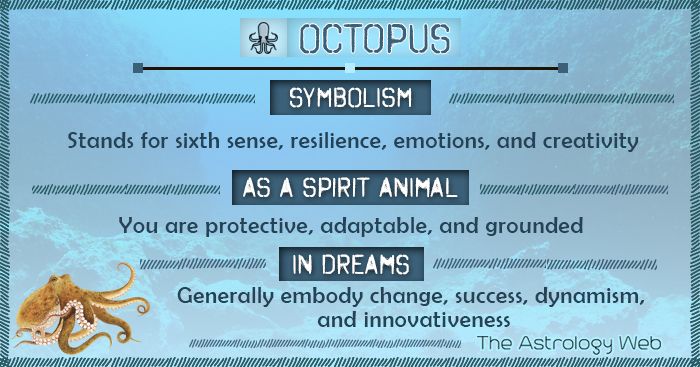 Octopus Dream Meaning