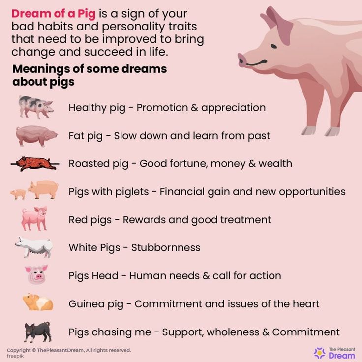 Pigs In Dreams Meaning