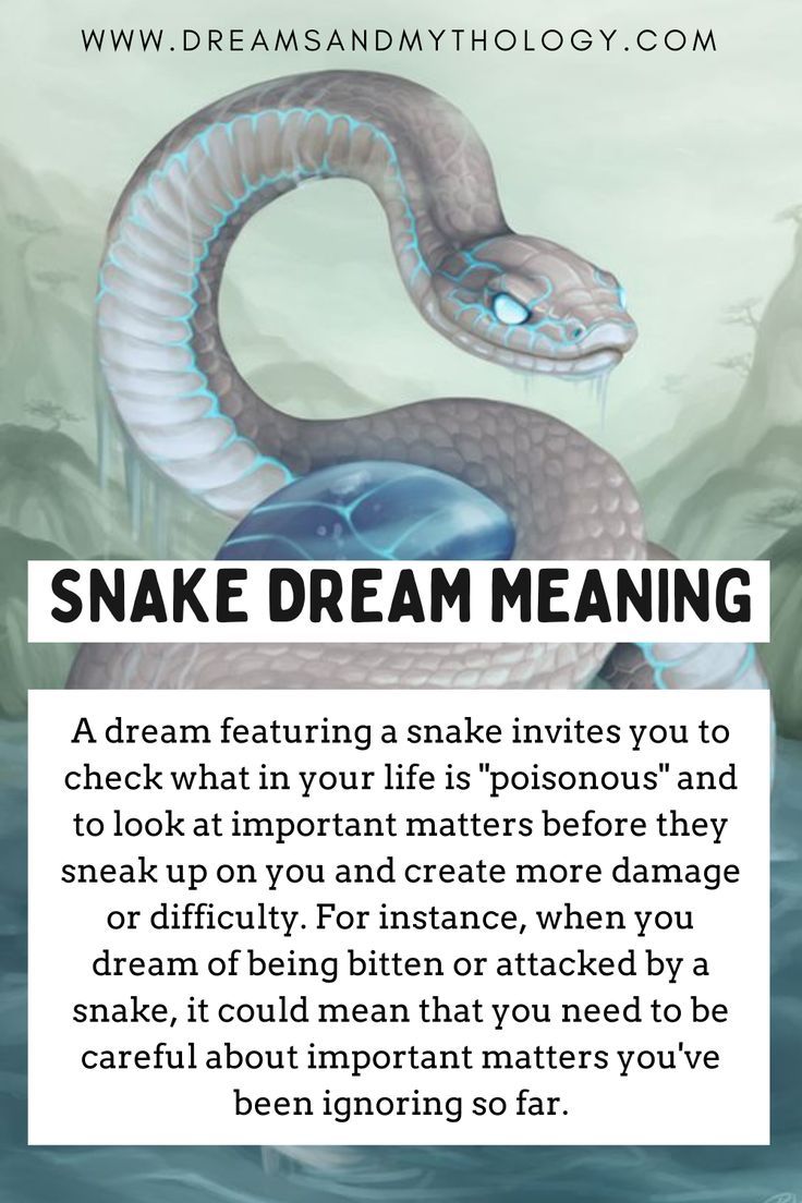 Serpent Dream Meaning