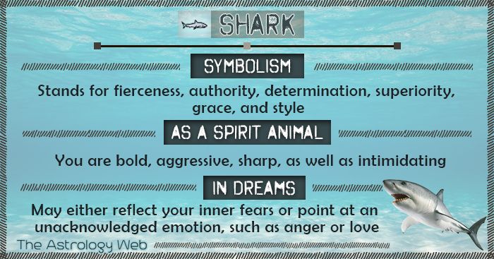 Shark Dream Meaning