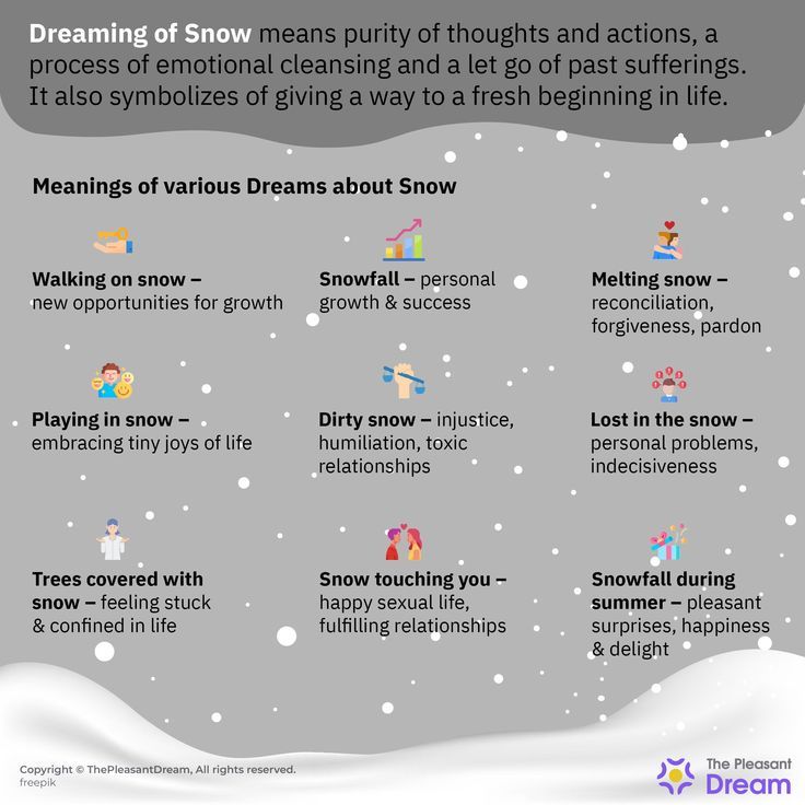 Snow Dream Meaning