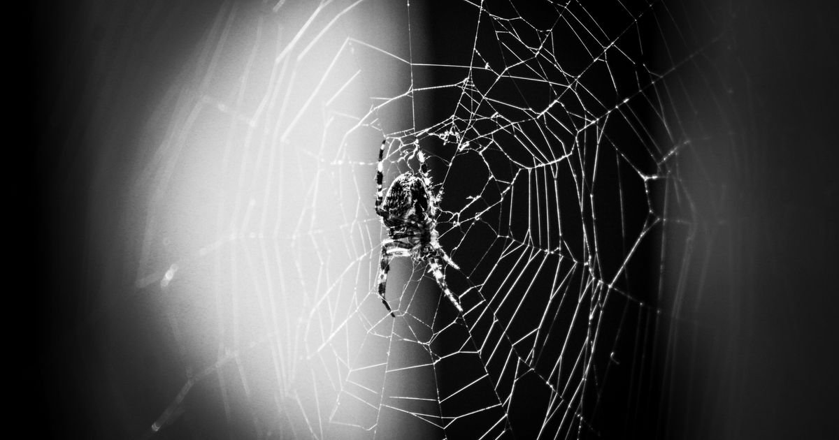 Spider Web Dream Meaning