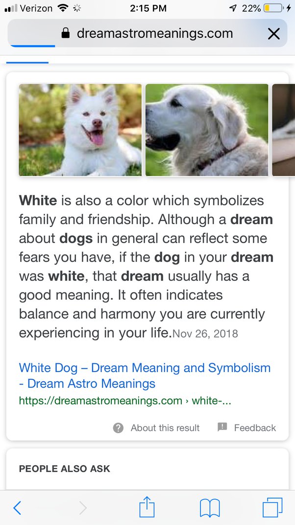 White Dog In Dream Meaning