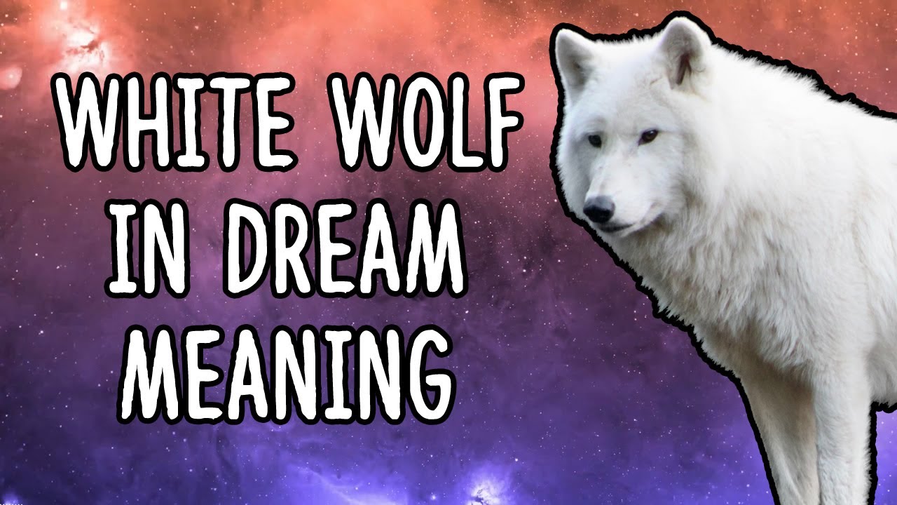 White Wolf In Dream