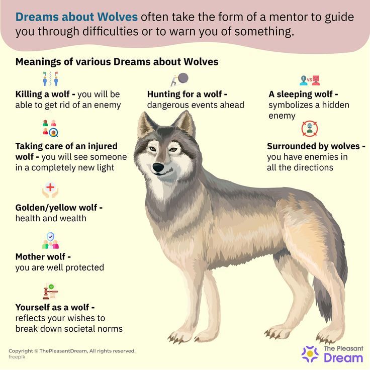 Wolf Dream Meaning